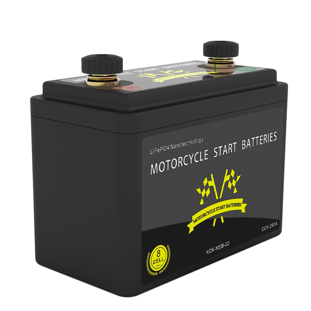 4S2P lifepo4 battery
