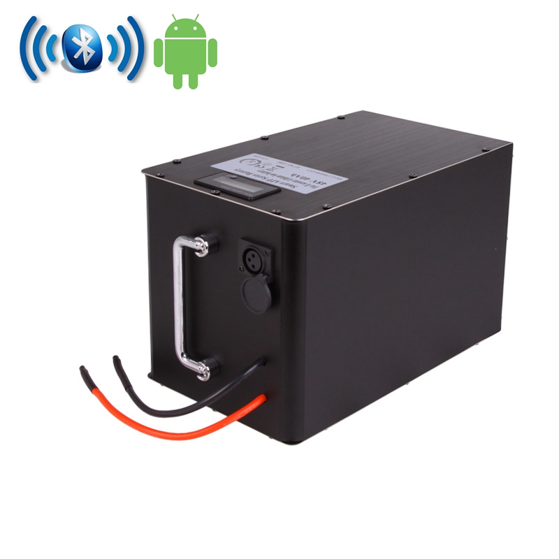 1000W Electric Bicycle LiFePO4 Battery Pack