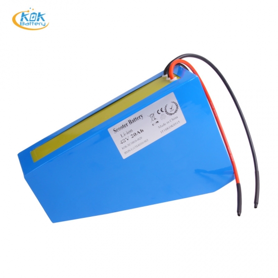 Buy Factory Price 48V 1000W Electric Bike 20Ah li ion battery 48 Volt 18650 Batteries with BMS