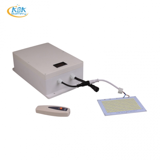 Solar Light LifePO4 Battery Packs