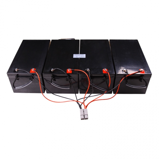 LiFePO4  RV/LEV Batteries