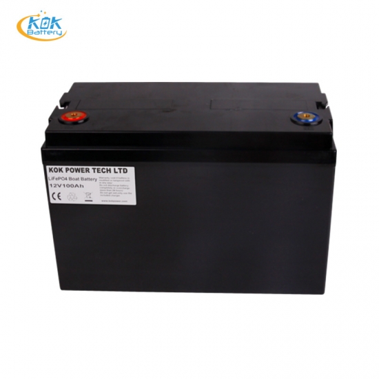 Buy Factory Price smartbatteryeco.com POWER 100Ah 12V Battery LiFePO4 Lithium Battery Power Storage Solar Battery