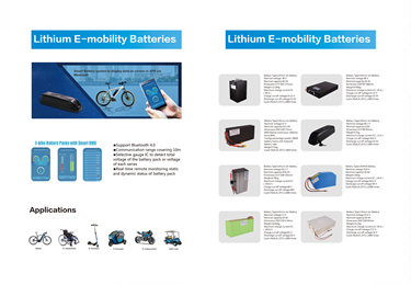 Low Speed Vehicles Battery 